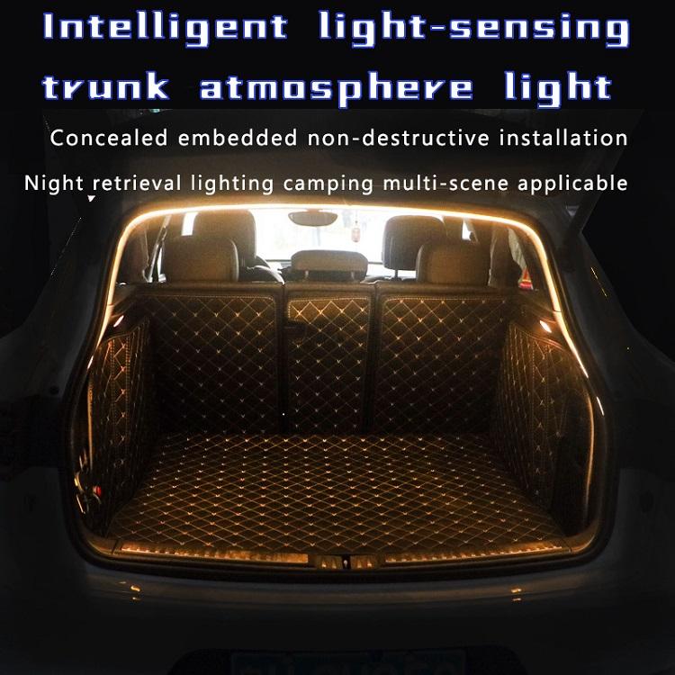 white light for the trunk.jpg