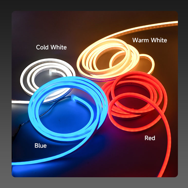 trunk light.png